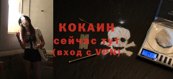 крисы Горно-Алтайск