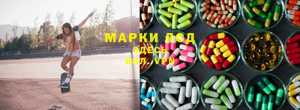 крисы Горно-Алтайск