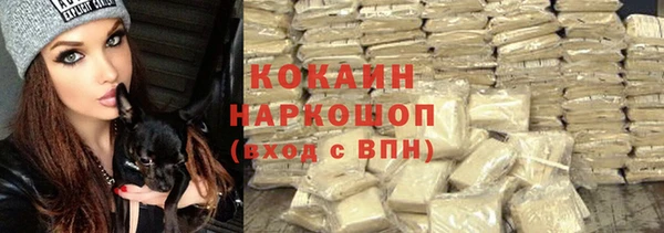 крисы Горно-Алтайск