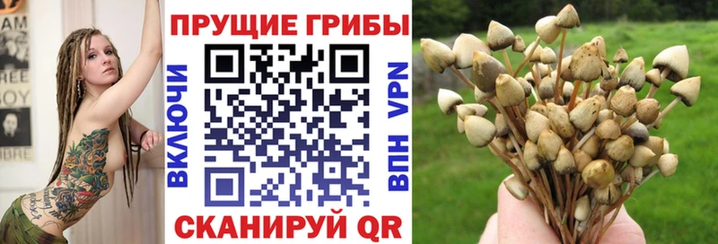 Галлюциногенные грибы MAGIC MUSHROOMS Кирсанов
