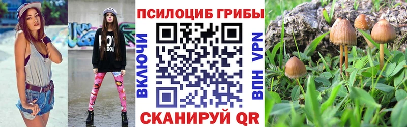 Галлюциногенные грибы Psilocybine cubensis  Купить  Кирсанов 