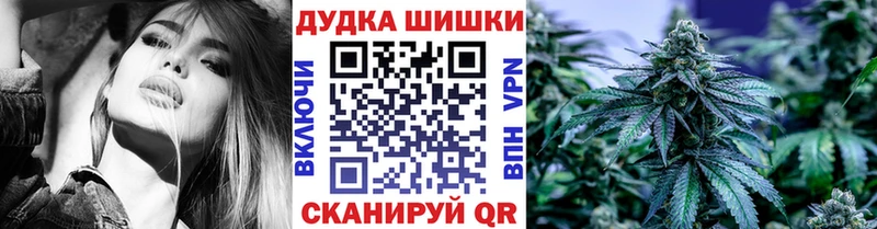 Каннабис сатива  Купить закладки  Кирсанов 